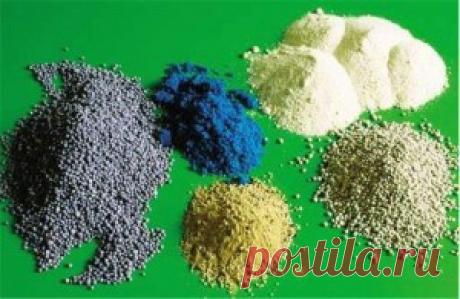 Подкормка помидор в теплице - практические советы | parnik-teplitsa.ru