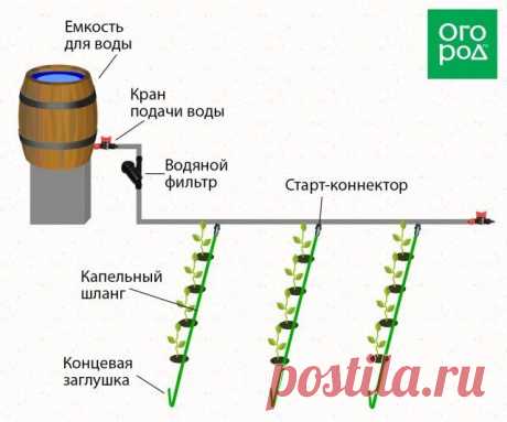 Несколько идей, как сделать капельный полив на даче своими руками