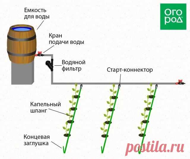 Несколько идей, как сделать капельный полив на даче своими руками