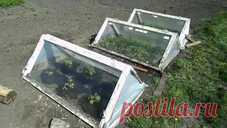 Как сделать парник быстро и за 3 копейки. Сад и огород. Своими руками.