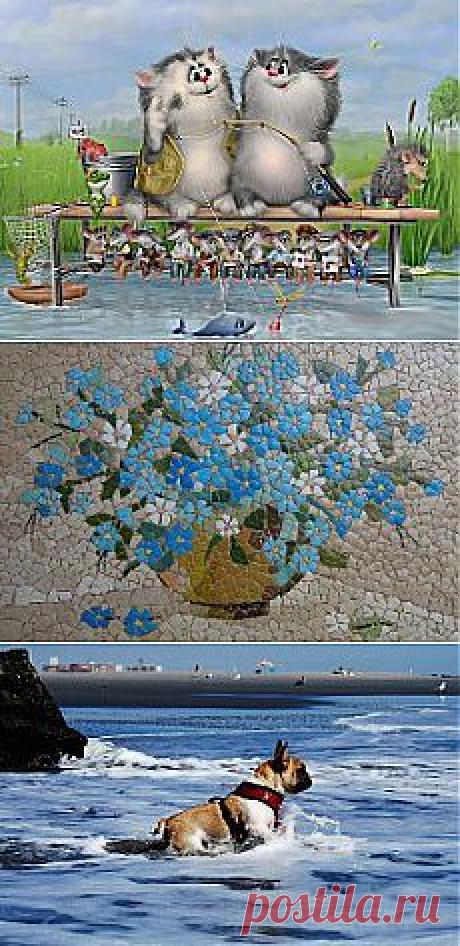 Если человеку нравится жизнь, если он способен получать удовольствие от каждой минуты, проведенной на этой земле, если он умеет находить для себя радости даже в мелочах, то он молод, какие бы цифры не были написаны в его паспорте.