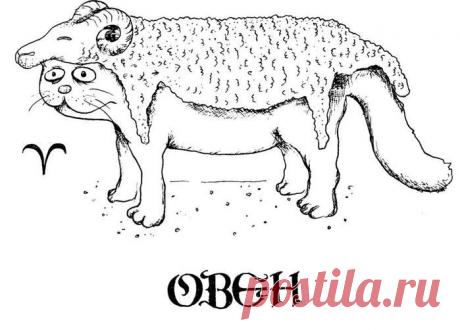 О себе, любимых... гороскоп в стихах!