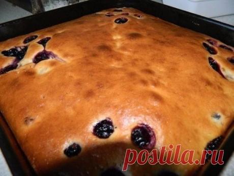 Сметанник
Сколько себя помню, в нашей семье мама очень часто готовила сметанник.
Конечно же существует много разнообразных рецептов, а также есть пироги-сметанники и торты-сметанники.
У меня быстрый пирог-сметанник.
У нас вся семья его очень любит
Ингредиенты:
1стакан сметаны
1стакан сахара
2-3 яйца
1 стакан муки
1/4чайной ложки соды или разрыхлитель
Можно добавить изюм, орехи.
Приготовление:
Яйца растереть с сахаром, затем добавить сметану, соду и муку. Муку добавляю пост...