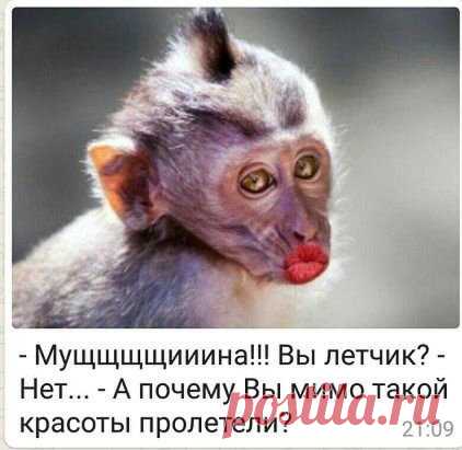 (99) Одноклассники
