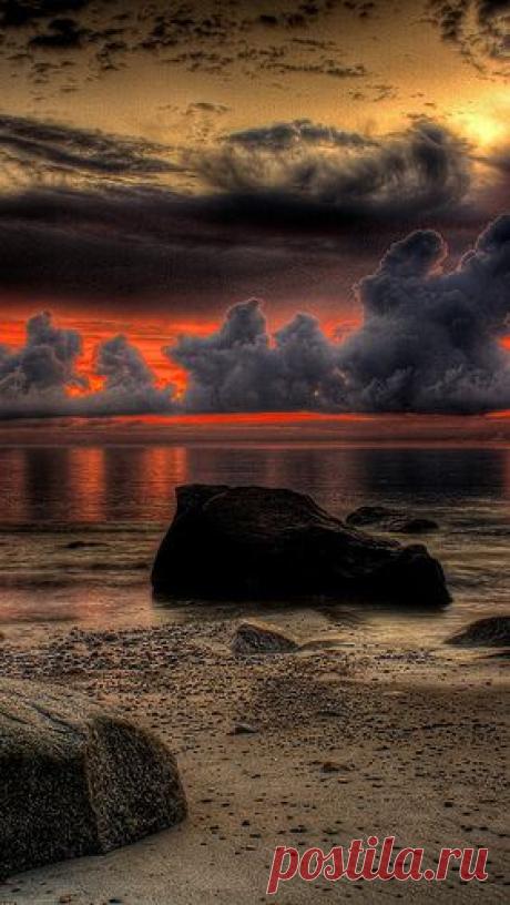 Nirvana's Paradise