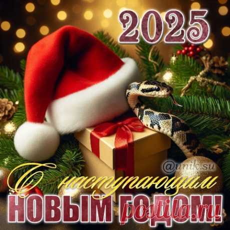 С наступающим Новым годом 2025!