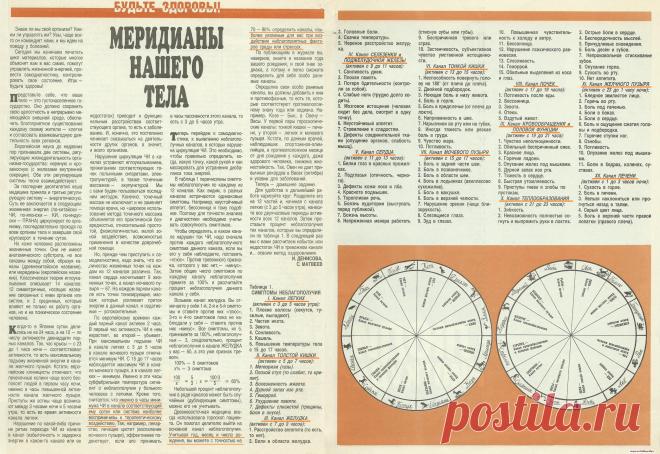 Меридианы нашего тела-1лист из 3х