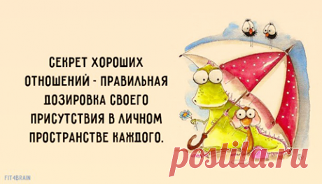 Фитнес для мозга - Хроника