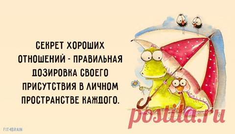 Фитнес для мозга - Хроника