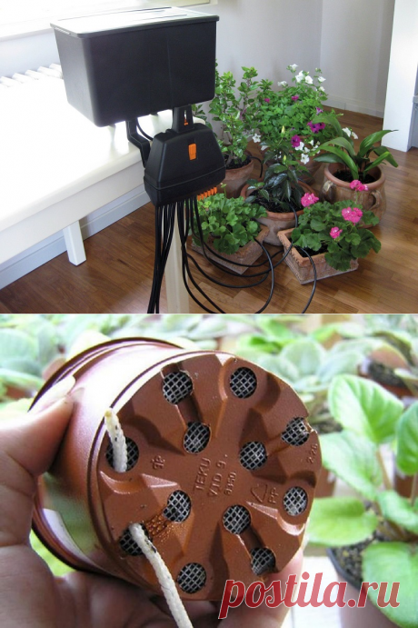 Автополив для комнатных растений