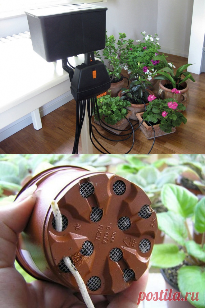Автополив для комнатных растений