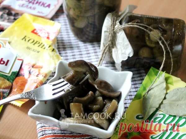 Маринованные подберезовики на зиму — рецепт с фото Вкусные маринованные подберезовики - отличная грибная закуска для застолья. Мы покажем как закрутить маринованные подберезовики на зиму.
