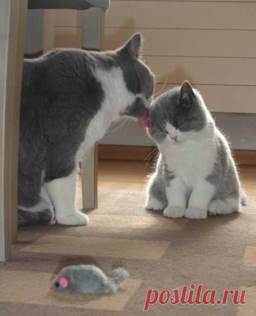 Mom, this is so embarrassing.