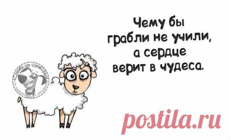 Позитивный пост метких фраз;))