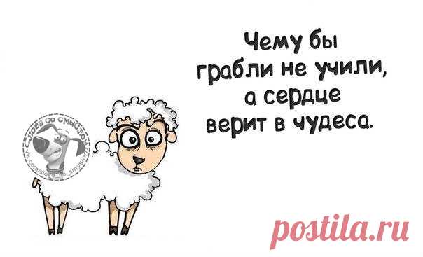 Позитивный пост метких фраз;))