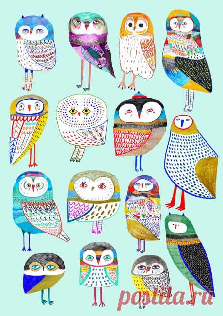 children's illustrator, pattern design, animal art, nature design, wall art, nursery decor, kids decor, pattern, birds, colorful, illustration, designer, greeting cards, logo design, products, clothing, - Ashley Percival Illustration