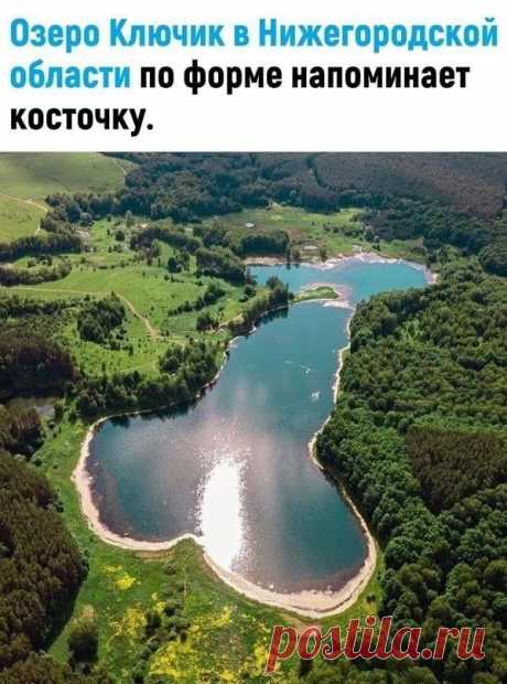 м