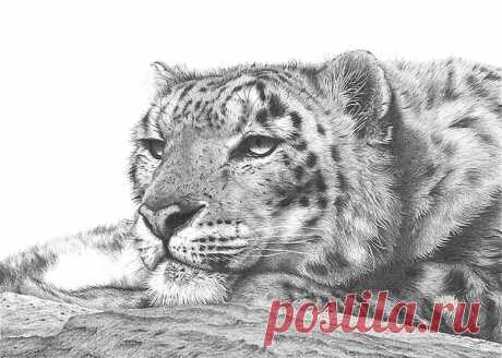 Редактировать описание