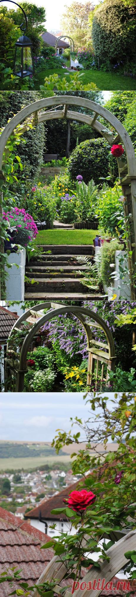 Сад Mark Wordy в Patcham, East Sussex. Англия
