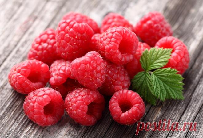 Двойная обрезка малины - описание, размножение, уход, посадка, фото, применение в саду, сорта и виды По содержанию полезных веществ малина бьет рекорды. Как вырастить её богатый урожай? Самый верный способ для этого — двойная обрезка малины по Соболеву. Александр Георгиевич Соболев – известный садовод из города Кургана, большой знаток и ценитель этой прекрасной ягоды. Именно он разработал для её выращивания новый способ агротехники, главным условием которого является двойная обрезка малины. …