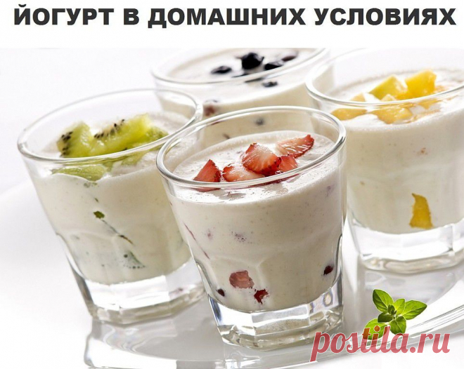 ЙОГУРТ