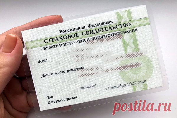 Зачем сотрудники банка всё время просят СНИЛС | Школа финансовой мудрости | Яндекс Дзен