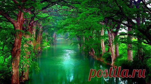 Интересные новости