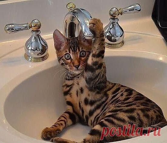 Эффeкmнaя фomoсeссия)