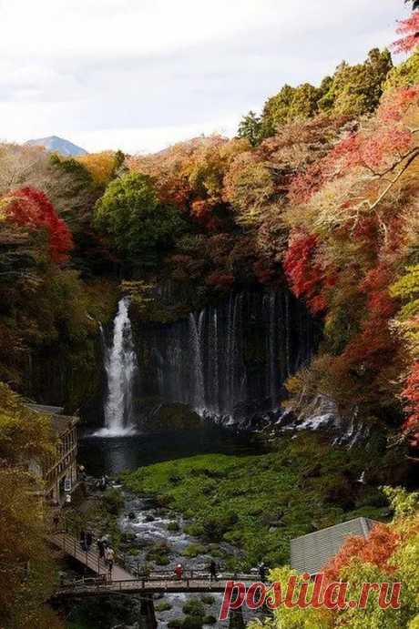 Google+