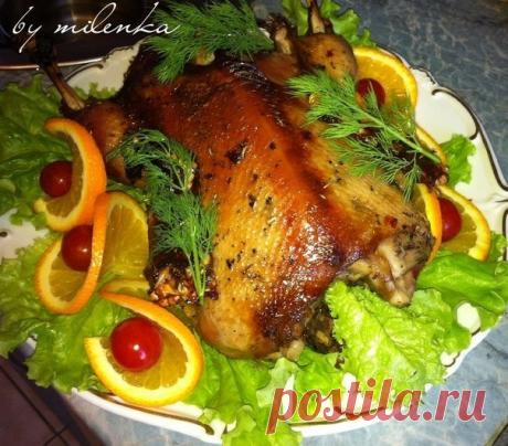 Светлана Лисаченко