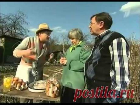 Яичная скорлупа - YouTube