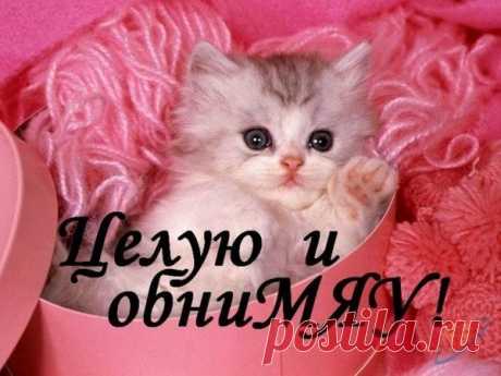 • Самые красивые фото ► vk.com/fotiko ◄