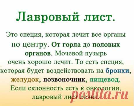 (2) Одноклассники