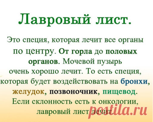 (2) Одноклассники