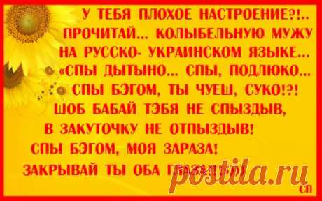 (5) Одноклассники