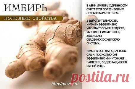 Полезные свойства имбиря