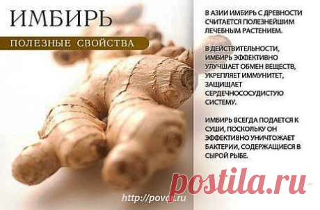 Полезные свойства имбиря