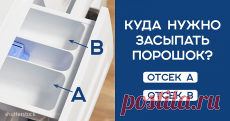 Многие хозяйки делают это неправильно: куда на самом деле нужно засыпать стиральный порошок