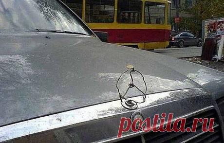 Смешные картинки
