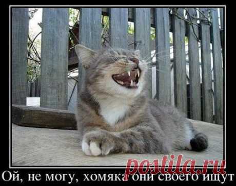 Хохотун)))