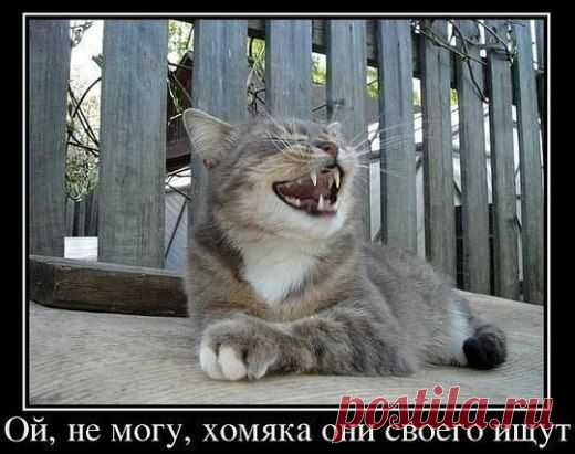 )))