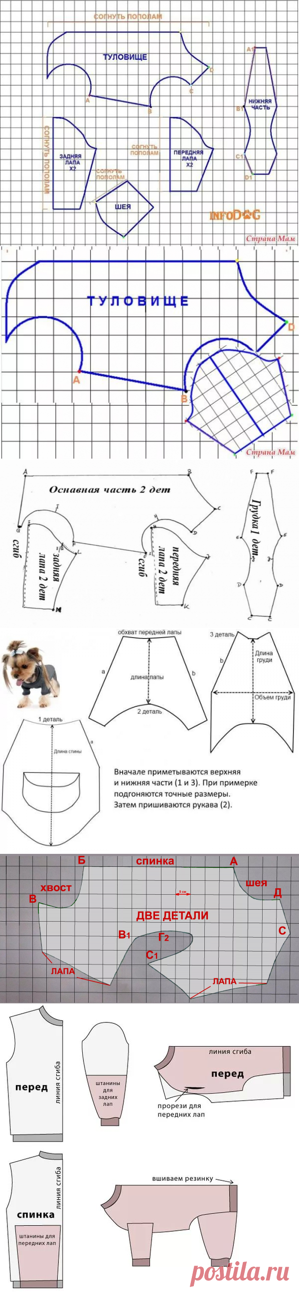 одежда для собачек своими руками выкройки: 10 тыс изображений найдено в Яндекс.Картинках
