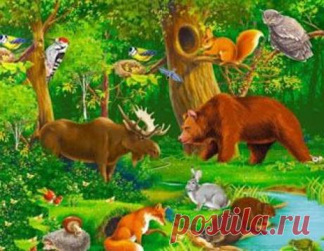 Наша удивительная планета: Почему то, что ученые обнаружили в чернобыльском лесу, шокировало весь мир?