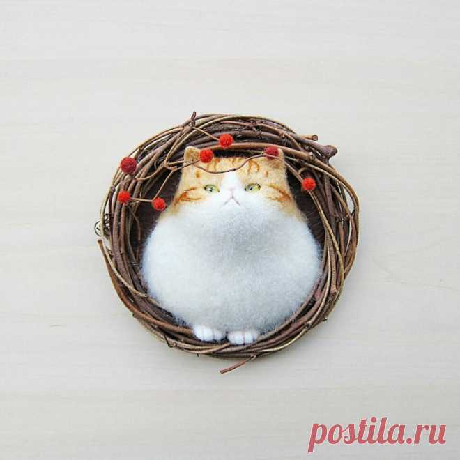 Баночно - гнездовые коты Mosscat25