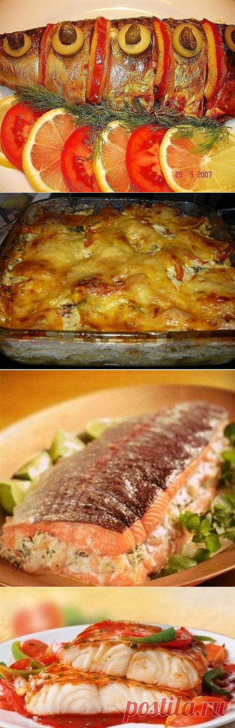 25 рецептов из рыбы