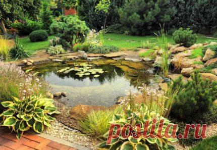 Как сделать пруд своими руками: подробный инструктаж по созданию водоема на приусадебном участке