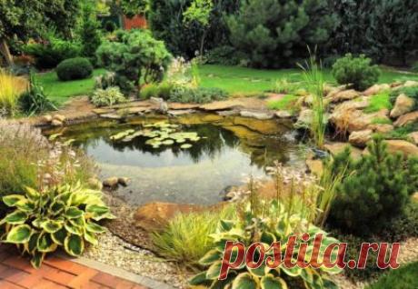 Как сделать пруд своими руками: подробный инструктаж по созданию водоема на приусадебном участке