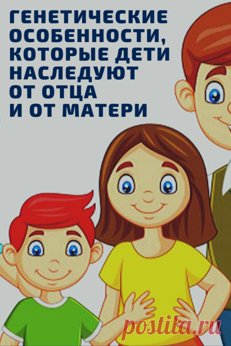 Что передается генетически ребенку от матери, а что от отца. Люди не равны с рождения. Генетика — одна из самых загадочных и интересных наук. Конечно, ребенок наследует гены обоих родителей, но некоторые доминирующие черты он возьмет именно от отца — как хорошие, так и не очень.