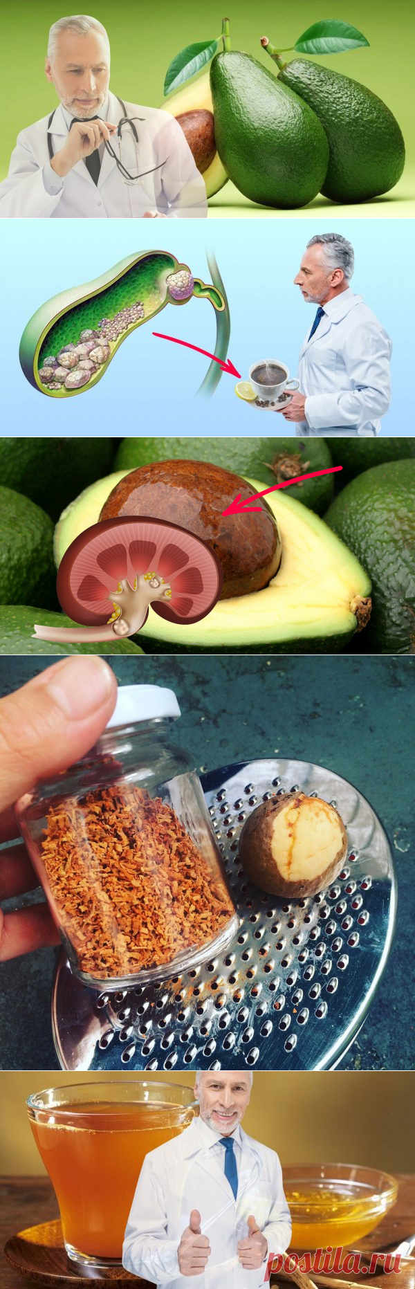 Полезные свойства семени авокадо