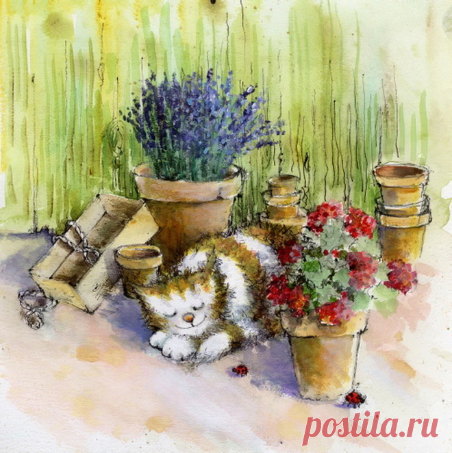 Jan Pashley